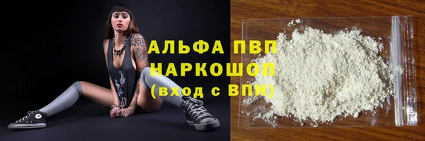 гидра Михайловка